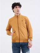 Mustard color option