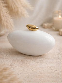 ARTKLIM - Elegant White Oval Shape Acrylic Clutch with Detachable Strap