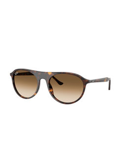 Ray-Ban - Unisex Gradient Brown Lens Square Sunglasses - 0Rb2215902/5156 (56)
