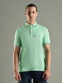 Green color option, Currently selected