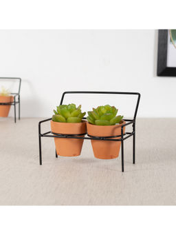 HomeTown - Bonsai with Stand, Multi