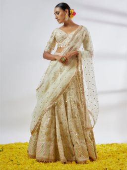 Gopi Vaid - Rashi Lehenga with Blouse and Dupatta