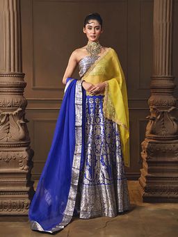 VISHWA - Blue Banarsi Silk Lehenga with Jaal Blouse and Double Dupatta