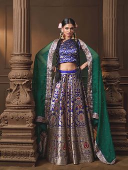 VISHWA - Blue Banarasi Silk Lehenga