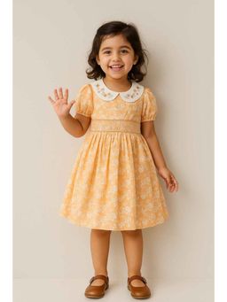 Lagorii - Peach Printed Flared Dress