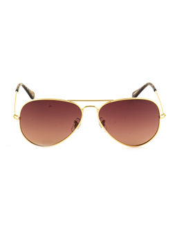 United Colors of Benetton - Brown Lens Gradient Aviator Sunglass Golden Frame Bes23515 C2 (58)
