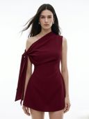 Maroon color option, Currently selected