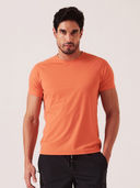 Coral color option, Currently selected