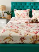 Peach color option, Currently selected