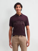 Wine color option, Currently selected