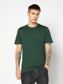 Green color option, Currently selected