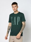 Green color option, Currently selected