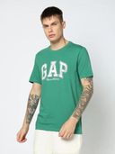 Green color option, Currently selected