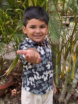 KOALA KIDZ - Boys Black Bamboo Fibre Collar Neck Shirt