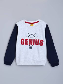 Hopscotch - Boys Grey Cotton Round Neck Sweatshirt
