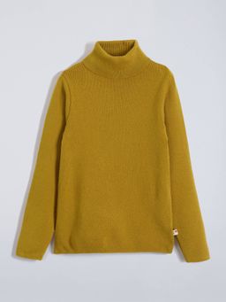 Hopscotch - Boys Mustard Viscose Blend High Neck Sweater