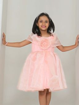 Pink Blue India - Girls Pink Organza Shoulder Straps Dress