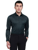 Green color option, Currently selected