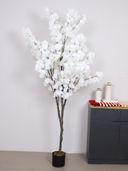White color option, Currently selected
