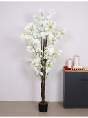 White color option, Currently selected