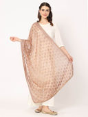 Brown color option, Sold out, Currently selected