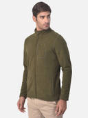 Olive color option, Currently selected