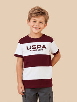 U.S. POLO ASSN. - Maroon Cotton Crew Neck Regular Fit Colorblock Half Sleeves T-Shirt