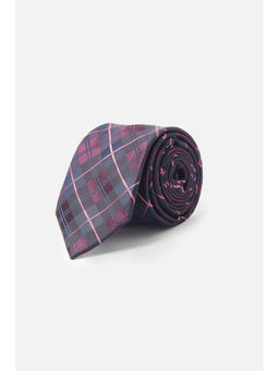 Allen Solly - Men Purple Checks Formal Tie