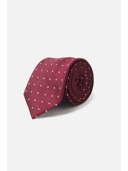 Allen Solly - Men Maroon Textured Formal Tie