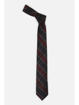 Louis Philippe - Men Grey Checks Tie