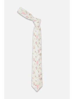 Peter England - Men White Floral Tie