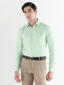Green color option, Currently selected