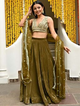 Lavanya The Label - Olive Velvet Embroidered Lehenga (Set of 3)