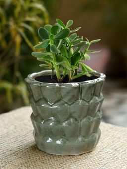 Unravel India - Ceramic Glazed Table Top Planter