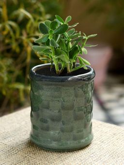 Unravel India - Ceramic Glazed Cylindrical Table Top Planter