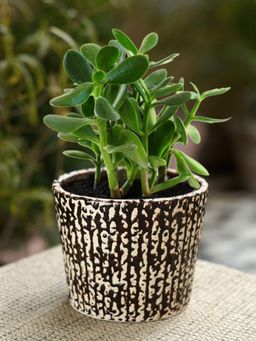 Unravel India - Ceramic Glazed Brown Bucket Table Top Planter