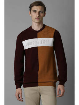 Louis Philippe - Men Multi-Color Regular Fit Colorblock Full Sleeves Sweater