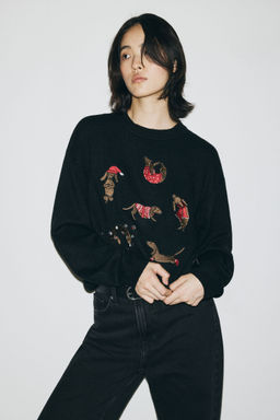 H&M - Women Multi-Color Embroidered Jumper