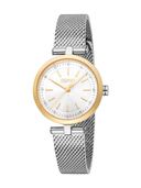 Silver color option, Sold out, Currently selected