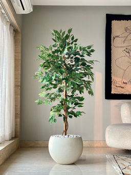 Mason Home - Artificial Weeping Ficus Tree - 5 Feet