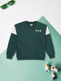 max - Boys Green Printed Sweatshirt