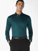 Green color option, Currently selected