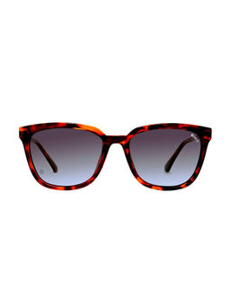 Enrico - Brown UV Protected Polarized Wayfarer Sunglasses