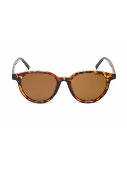Mespee - Tortoise Round Full Plastic Women Uv Protected Sunglasses (ZN3533-C2) (51)