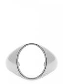 Silver color option, Currently selected