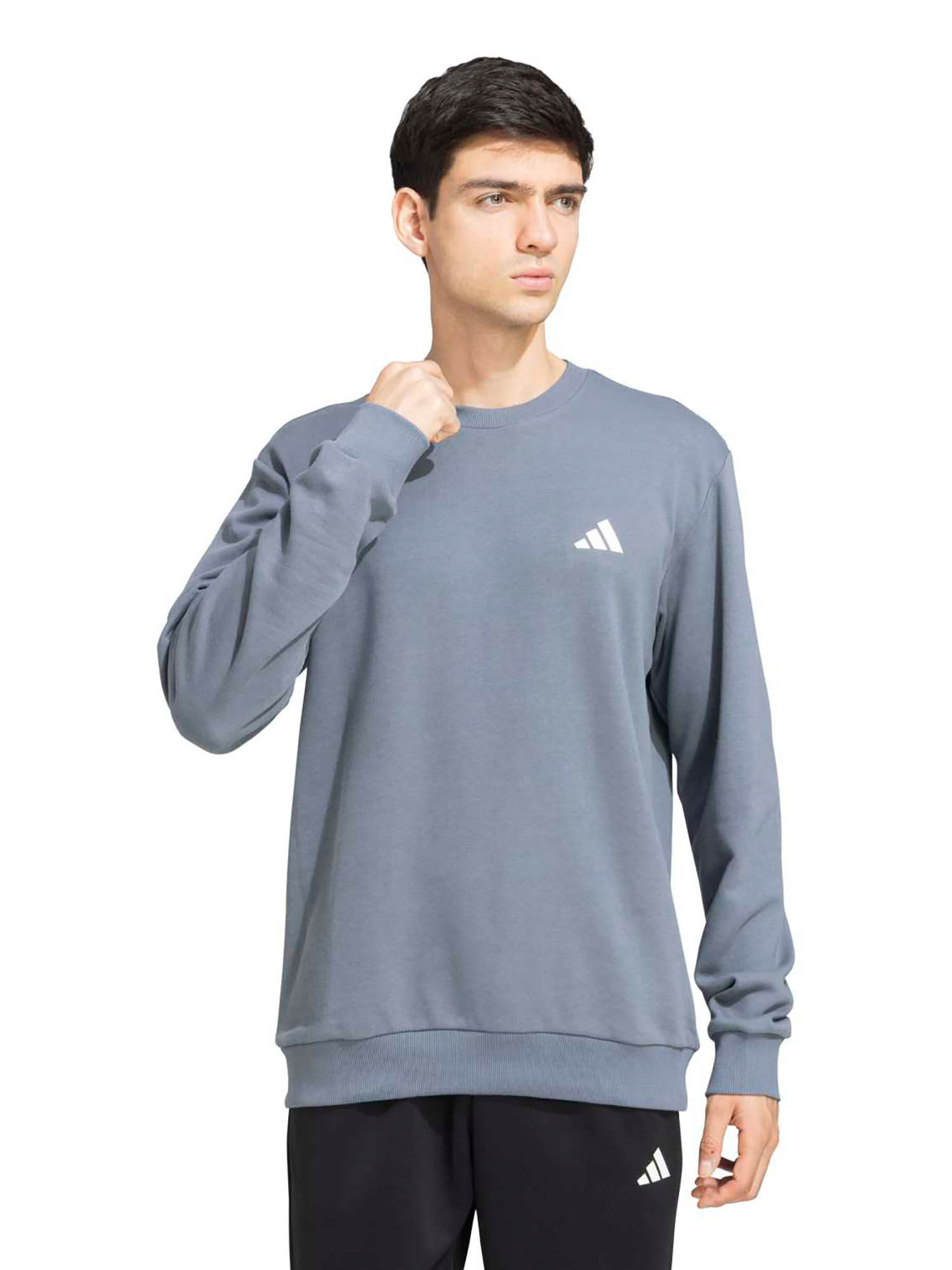 Buy adidas Originals M Crew Logo Sw Grey Sweatshirt (XS) Online