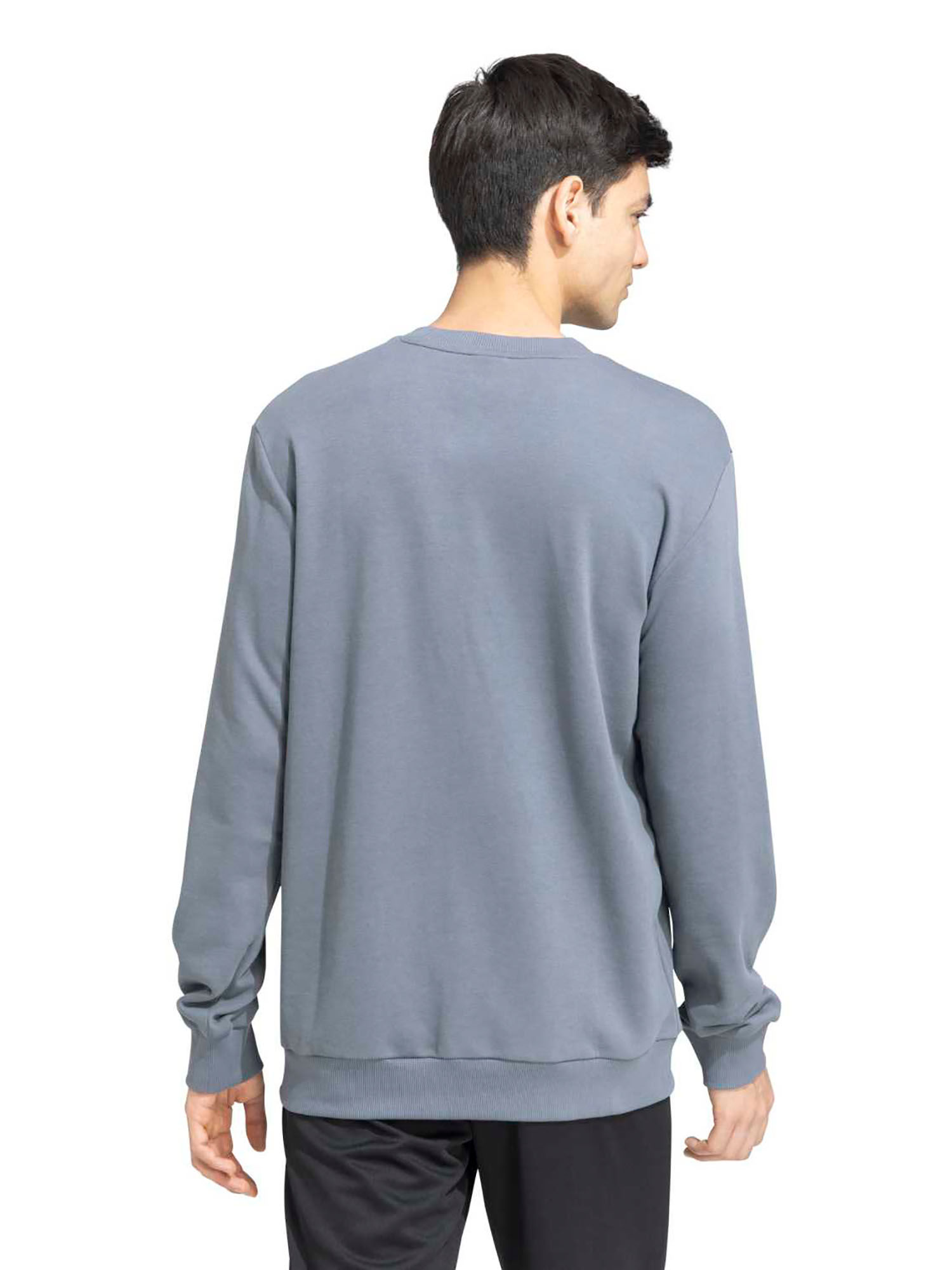 Buy adidas Originals M Crew Logo Sw Grey Sweatshirt (XS) Online