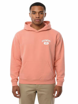 Harmony - Pink Regular Logo Hoodie (S)