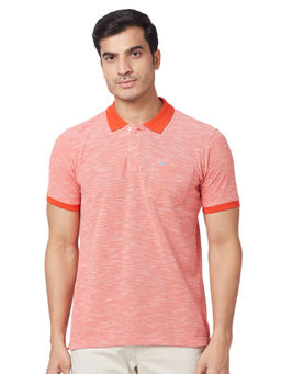 Park Avenue - Slim Fit Solid Dark Red Polo T-Shirt