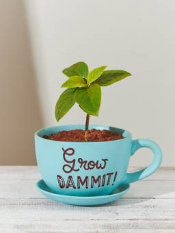 Chumbak - Grow Dammit Planter